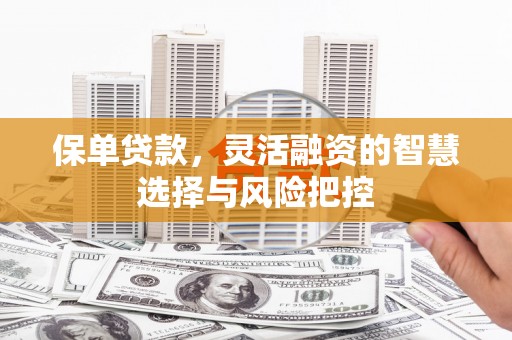 宁夏保单贷款，灵活融资的智慧选择与风险把控