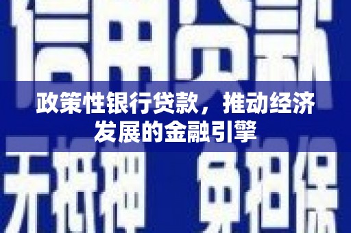 宁夏政策性银行贷款，推动经济发展的金融引擎