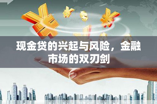 宁夏现金贷的兴起与风险，金融市场的双刃剑