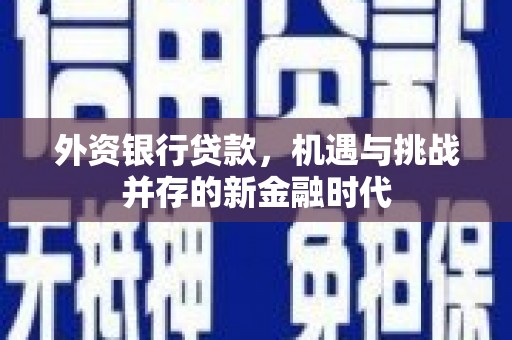 宁夏外资银行贷款，机遇与挑战并存的新金融时代