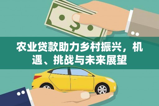 宁夏农业贷款助力乡村振兴，机遇、挑战与未来展望