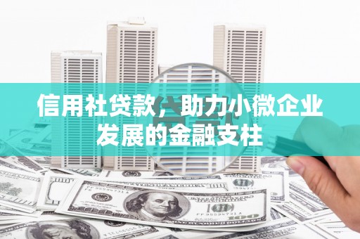 宁夏信用社贷款，助力小微企业发展的金融支柱