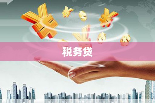 宁夏税务贷