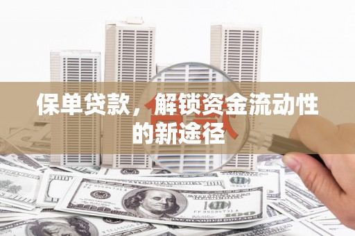 宁夏保单贷款，解锁资金流动性的新途径