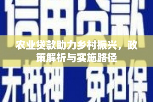 宁夏农业贷款助力乡村振兴，政策解析与实施路径