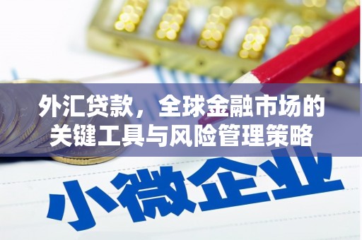 宁夏外汇贷款，全球金融市场的关键工具与风险管理策略