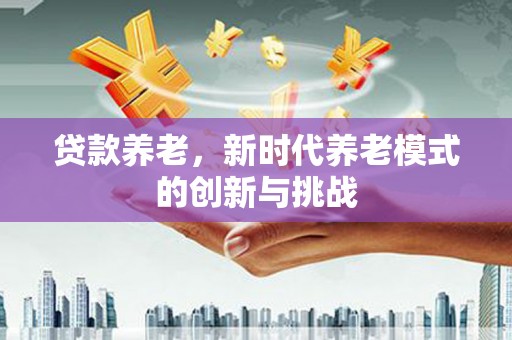 宁夏贷款养老，新时代养老模式的创新与挑战