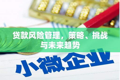 宁夏贷款风险管理，策略、挑战与未来趋势