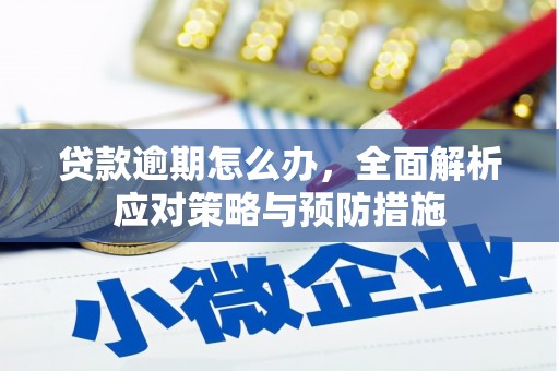 宁夏贷款逾期怎么办，全面解析应对策略与预防措施