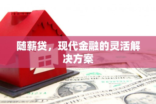 宁夏随薪贷，现代金融的灵活解决方案