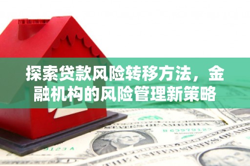宁夏探索贷款风险转移方法，金融机构的风险管理新策略
