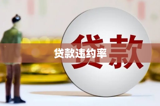 宁夏贷款违约率