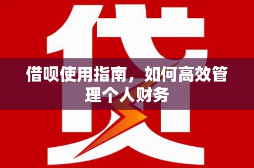 宁夏借呗使用指南，如何高效管理个人财务