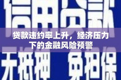 宁夏贷款违约率上升，经济压力下的金融风险预警