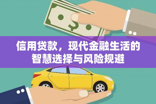宁夏信用贷款，现代金融生活的智慧选择与风险规避
