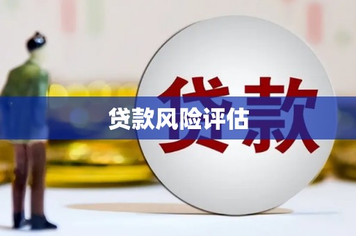 宁夏贷款风险评估
