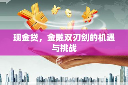 宁夏现金贷，金融双刃剑的机遇与挑战