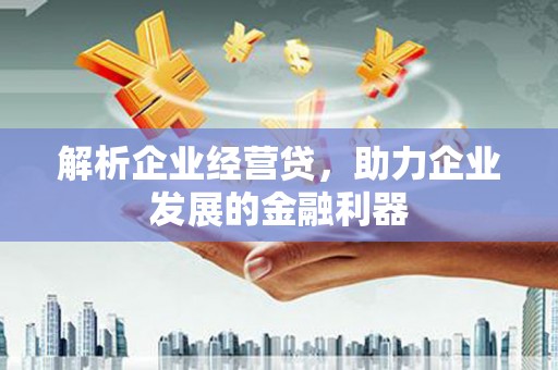 宁夏解析企业经营贷，助力企业发展的金融利器