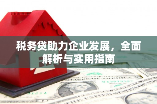 宁夏税务贷助力企业发展，全面解析与实用指南