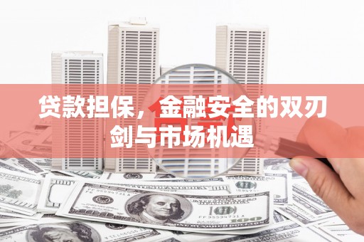 宁夏贷款担保，金融安全的双刃剑与市场机遇