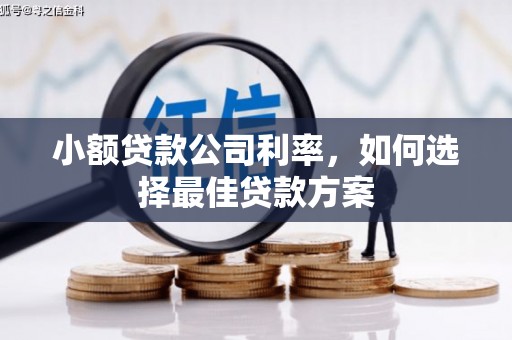 宁夏小额贷款公司利率，如何选择最佳贷款方案