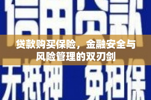 宁夏贷款购买保险，金融安全与风险管理的双刃剑