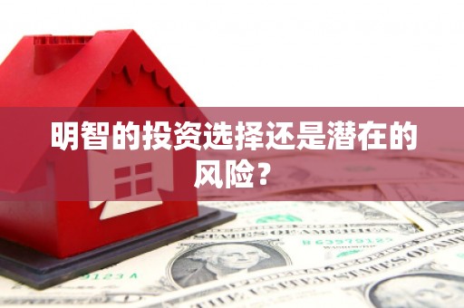 宁夏明智的投资选择还是潜在的风险？