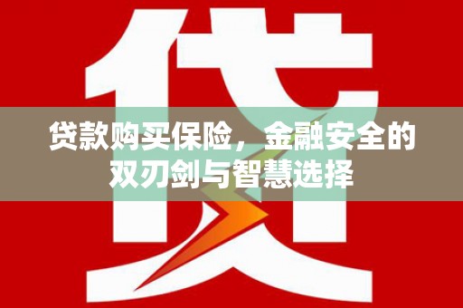 宁夏贷款购买保险，金融安全的双刃剑与智慧选择