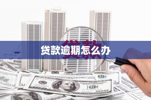 宁夏贷款逾期怎么办