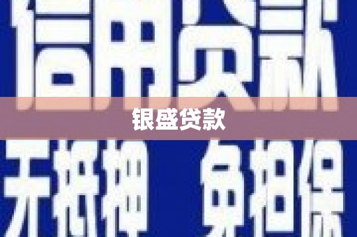 宁夏银盛贷款