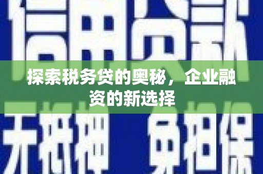 宁夏探索税务贷的奥秘，企业融资的新选择