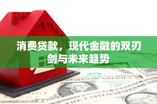 宁夏消费贷款，现代金融的双刃剑与未来趋势
