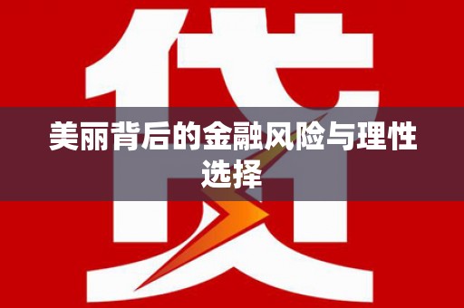 宁夏美丽背后的金融风险与理性选择