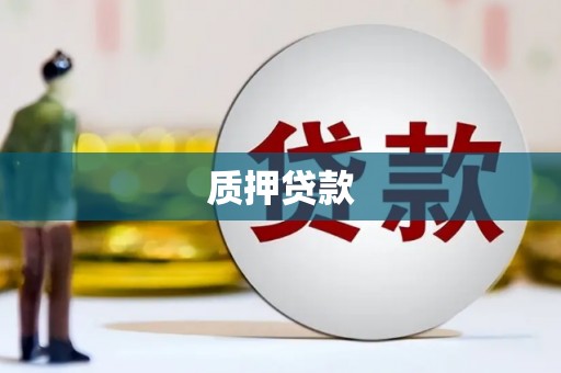 宁夏质押贷款