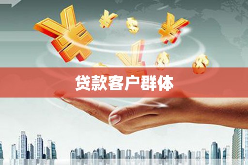 宁夏贷款客户群体
