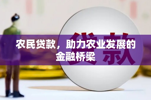 宁夏农民贷款，助力农业发展的金融桥梁