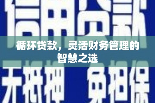 宁夏循环贷款，灵活财务管理的智慧之选
