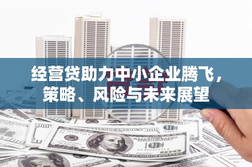 宁夏经营贷助力中小企业腾飞，策略、风险与未来展望