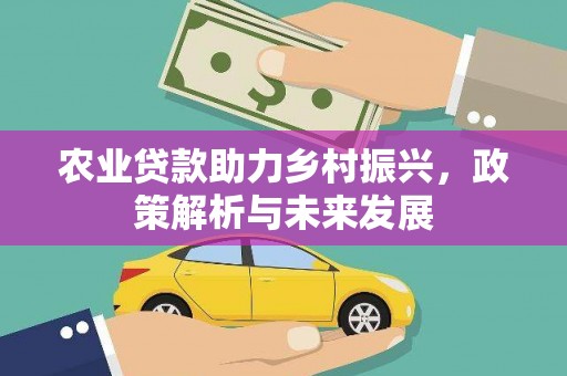 宁夏农业贷款助力乡村振兴，政策解析与未来发展