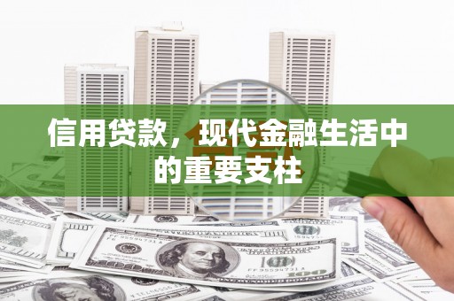 宁夏信用贷款，现代金融生活中的重要支柱