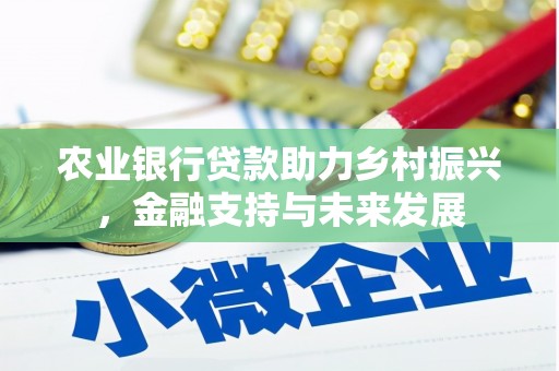 宁夏农业银行贷款助力乡村振兴，金融支持与未来发展