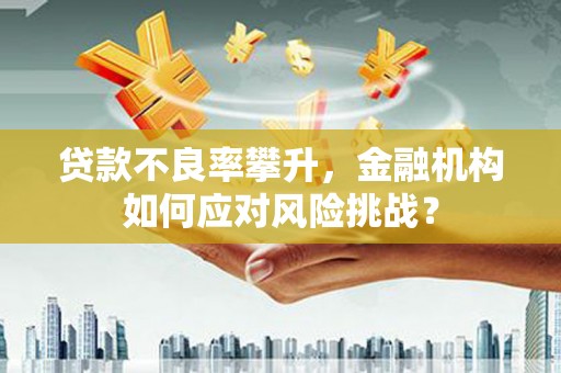 宁夏贷款不良率攀升，金融机构如何应对风险挑战？