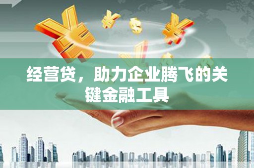宁夏经营贷，助力企业腾飞的关键金融工具