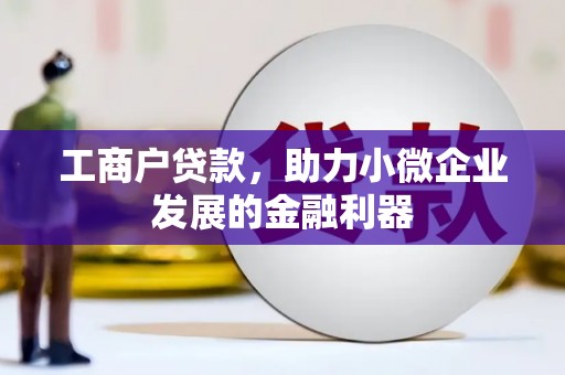 宁夏工商户贷款，助力小微企业发展的金融利器