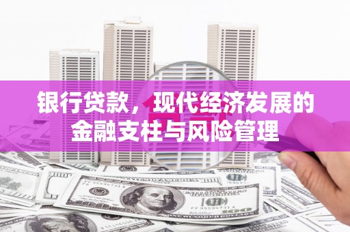 宁夏银行贷款，现代经济发展的金融支柱与风险管理