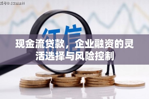 宁夏现金流贷款，企业融资的灵活选择与风险控制