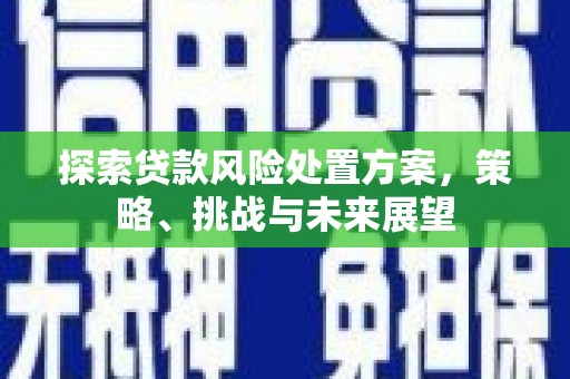 宁夏探索贷款风险处置方案，策略、挑战与未来展望