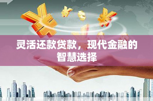 宁夏灵活还款贷款，现代金融的智慧选择