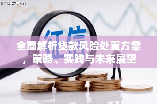 宁夏全面解析贷款风险处置方案，策略、实践与未来展望