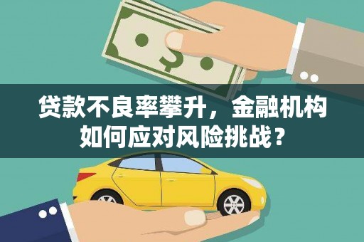 宁夏贷款不良率攀升，金融机构如何应对风险挑战？